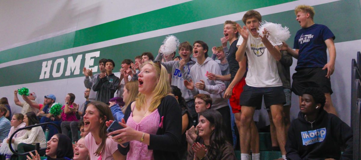 The Student Section is full and is cheering loudly as the team wins